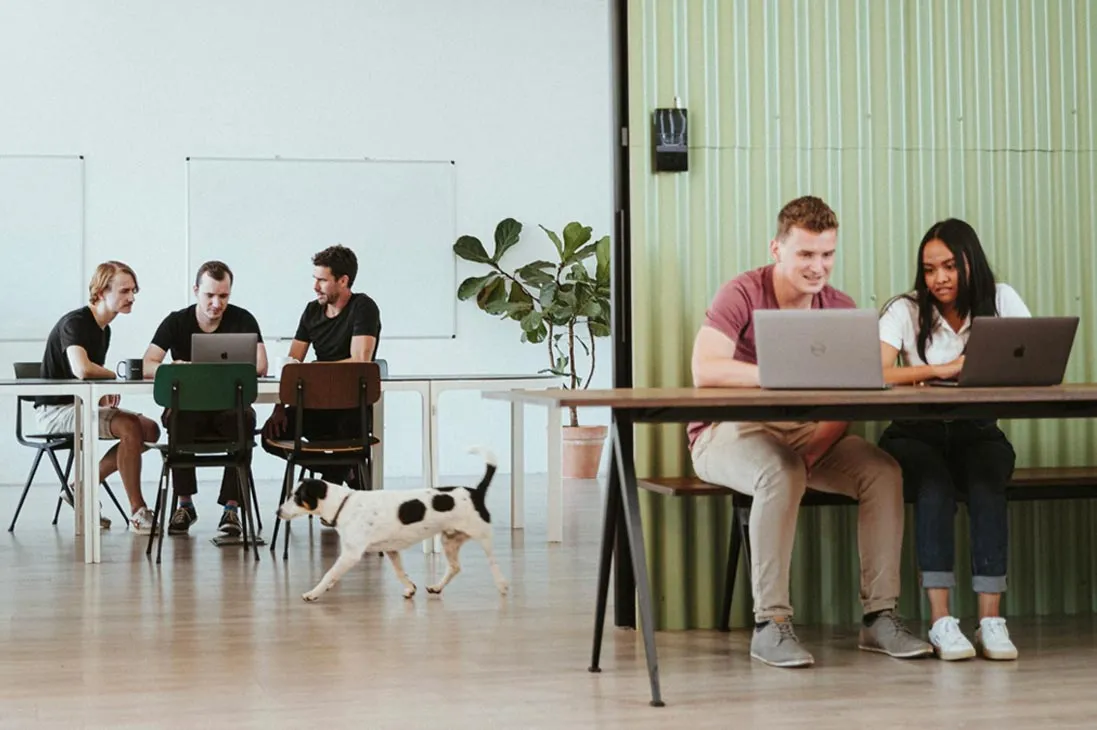 Life At Mews Mews Developers